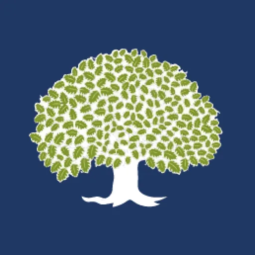 WhiteOak Capital Mutual Fund logo